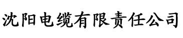 快播免费片毛网站电缆厂logo